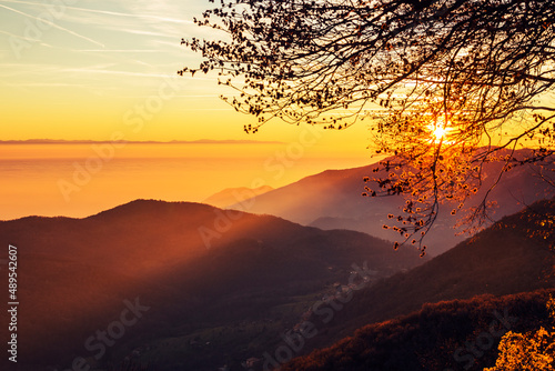 bright orange winter sunset in the mountains with a branch of a tree
