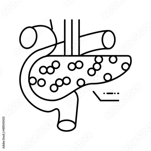 pancreas endocrinology line icon vector illustration