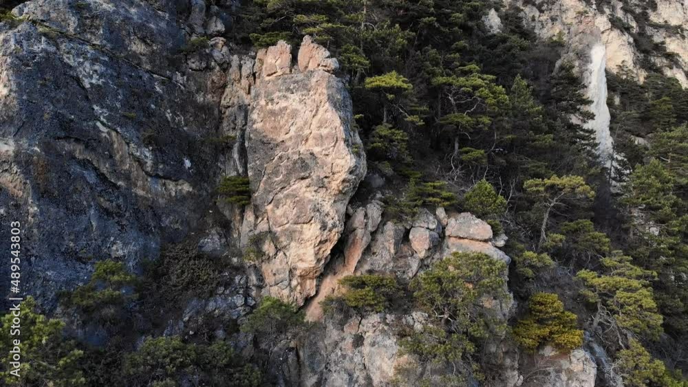 Aerial view of a rocky wall in the mountains covered with juniper. Footage of a rare endangered plant in the highlands Aerial view of a rocky wall in the mountains covered with juniper. Footage of a rare endangered plant in the highlands