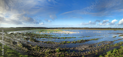 Flooding. Uffelter Es. Uffelte Drente Netherlands. Flooded fields in winter. Panorama.