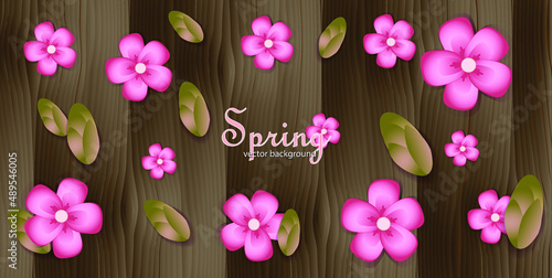 Spring vector background with delicate flowers and woody background