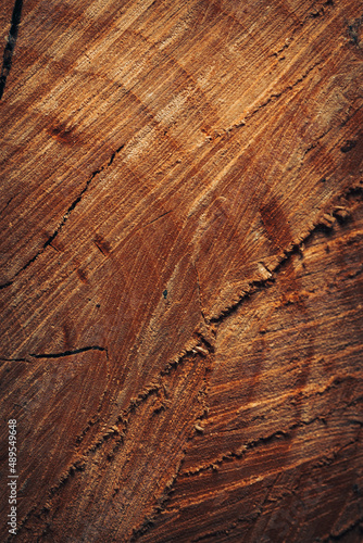 old wood texture