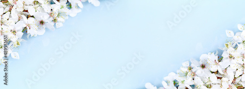 Spring banner, branches of blossoming fruit tree branch on blue background. Many flowers, copy space border banner.