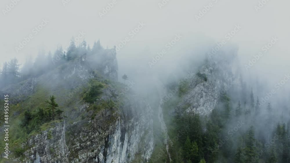 A mountain river flowing from the steep rocky mountains among the spruce forest A mountain river flowing from the steep rocky mountains among the spruce forest