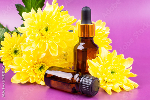 Fototapeta Essential oil of yellow chrysanthemum flower in two brown glass bottles with a pipette and a lid on a lilac (purple) background