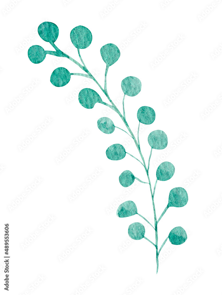 Green leaf watercolor on white background