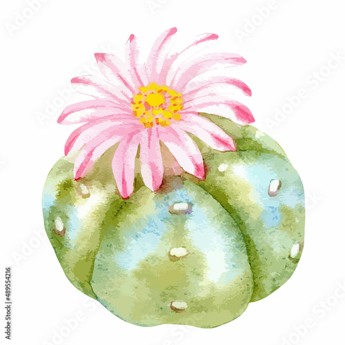 Watercolor vector illustration of cactus with flower