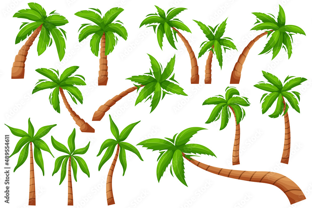 Cartoon palm tree. Exotic tropical plant, isolated jungle vegetation, coco and banana tree. Vector set