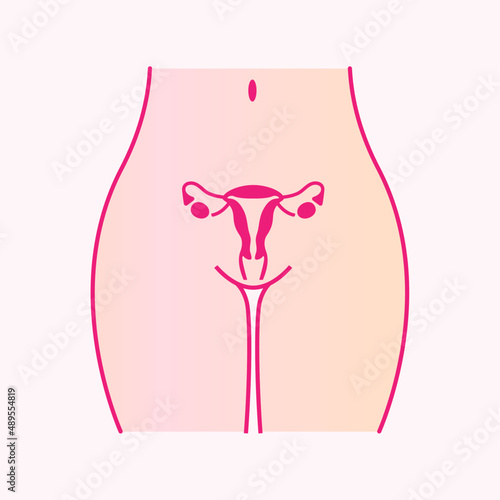 Vector illustration of the uterus and the female reproductive system. Menstrual cramps and pain linear icon. Gynecological diseases in women - uterus and ovary disorders, Lower abdominal acute pain