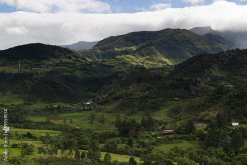 Typical vegetation of the area near Popayan, Colombia photo