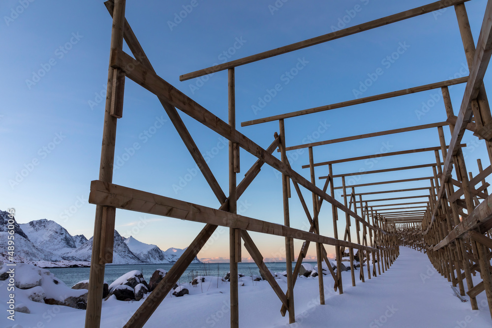 empty drying racks for stockfish near the fishing village Husoy on island Senja in northern Norway