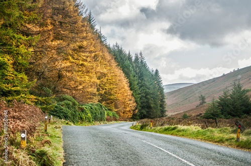 Photography Autumn in Wicklow