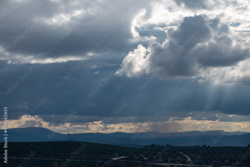  dark stormy sky with olive fields in the foreground