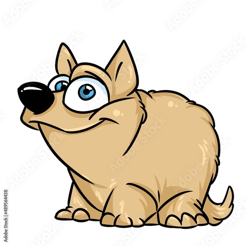 Shaggy coat dog animal illustration cartoon character isolated