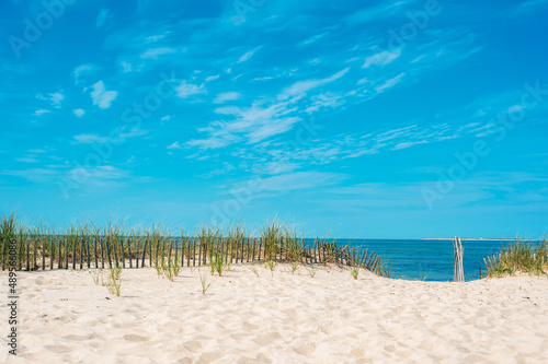 Sand  grass  fence  and bright blue sky in Cape Cod