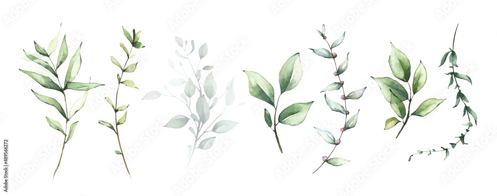 Watercolor floral set of green leaves, branches, twigs etc. Vector traced isolated greenery illustration.  - obrazy, fototapety, plakaty 