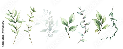 Canvastavla Watercolor floral set of green leaves, branches, twigs etc