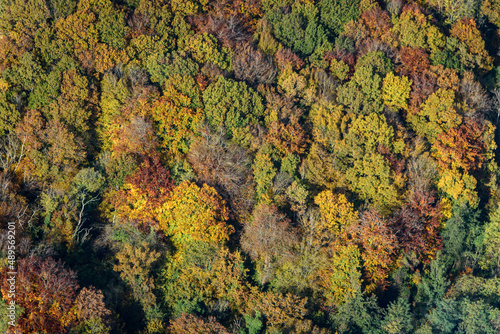 vue aérienne de forêt à l'automne à Hautvillers dans la Marne en France © Francois