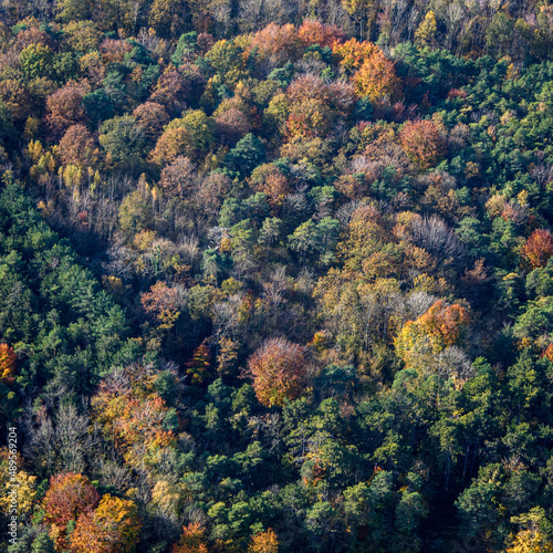 vue aérienne de forêt à l'automne à Sacy dans la Marne en France