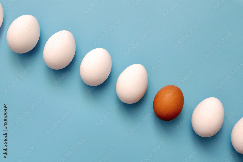 A group of white eggs and one brown one among them. A symbol of unusual people in society A group of white eggs and one brown one among them. A symbol of unusual people in society