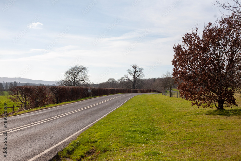 Fototapeta premium road in the countryside