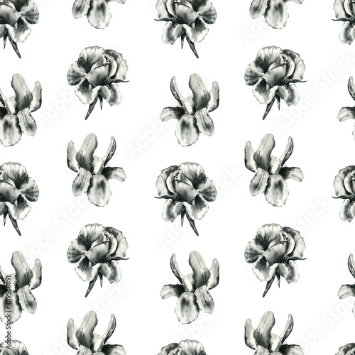 Black and white hand drawn flowers rose and magnolia. Botanical illustration isolated on white background. Seamless watercolor pattern for fabric, paper, packaging design. © Rakhil