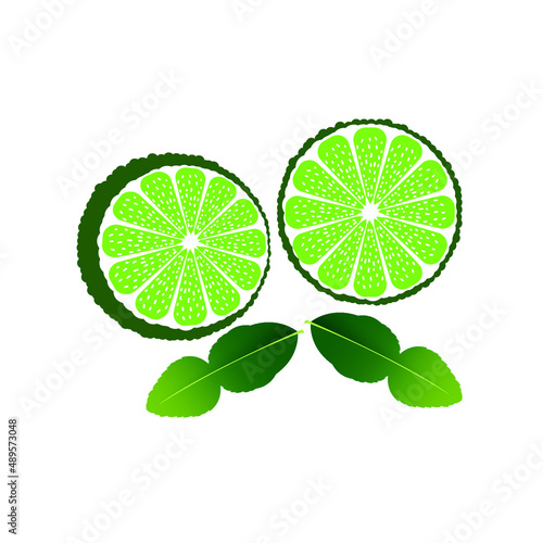 leaf kaffir Bergamot orange fruit. Makrut or raw kaffir lime. A whole, half, and a piece.Tropical exotic food.Citrus or lemon fruits. isolated on white background. vector illustration EPS. Flat design