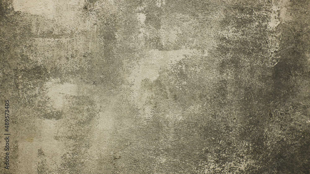 Obraz premium Wall texture rough grey