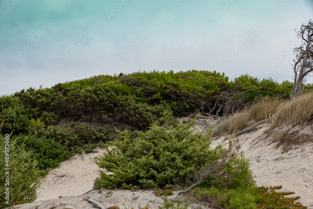 Torre dell'orso Puglia Two sisters