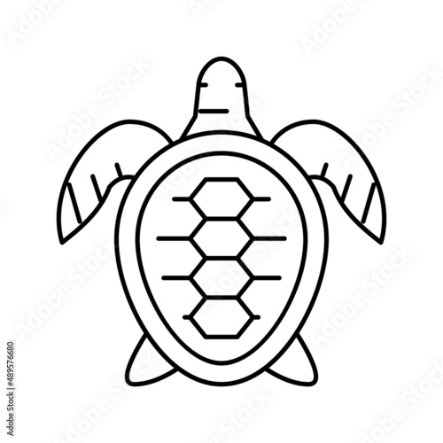 turtle ocean line icon vector illustration