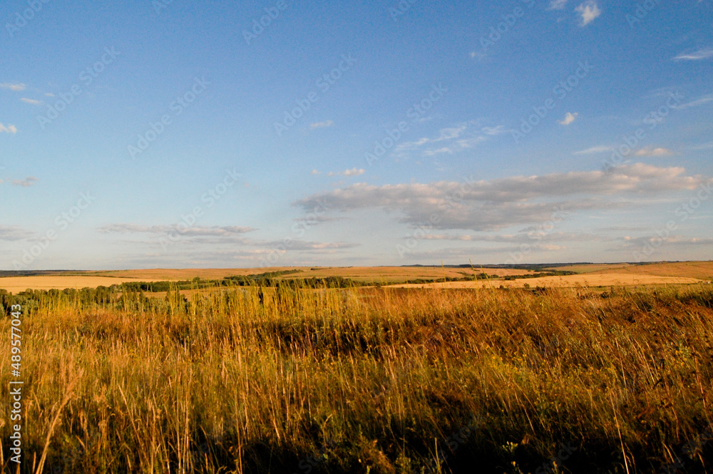 Fields of Luhansk, Ukraine Before the War 