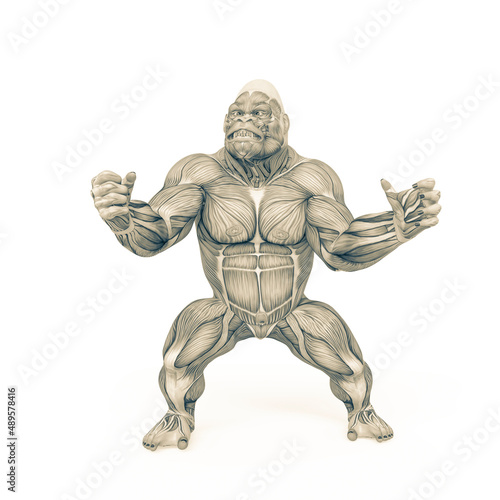 gorilla is doing a ready to fight pose on muscle map anatomy style