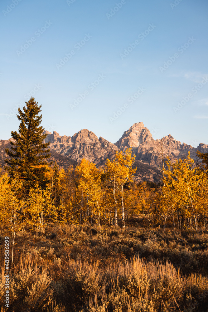 autumn Rocky Mountains