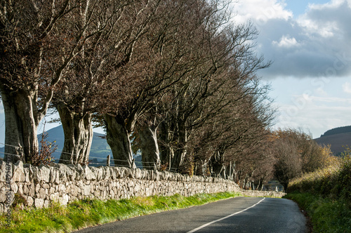Photography Irish rural road landscape