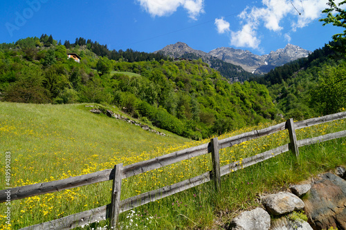 breathtaking Italian Alps of the Partschins region of South Tyrol (Italy, South Tyrol, Merano)