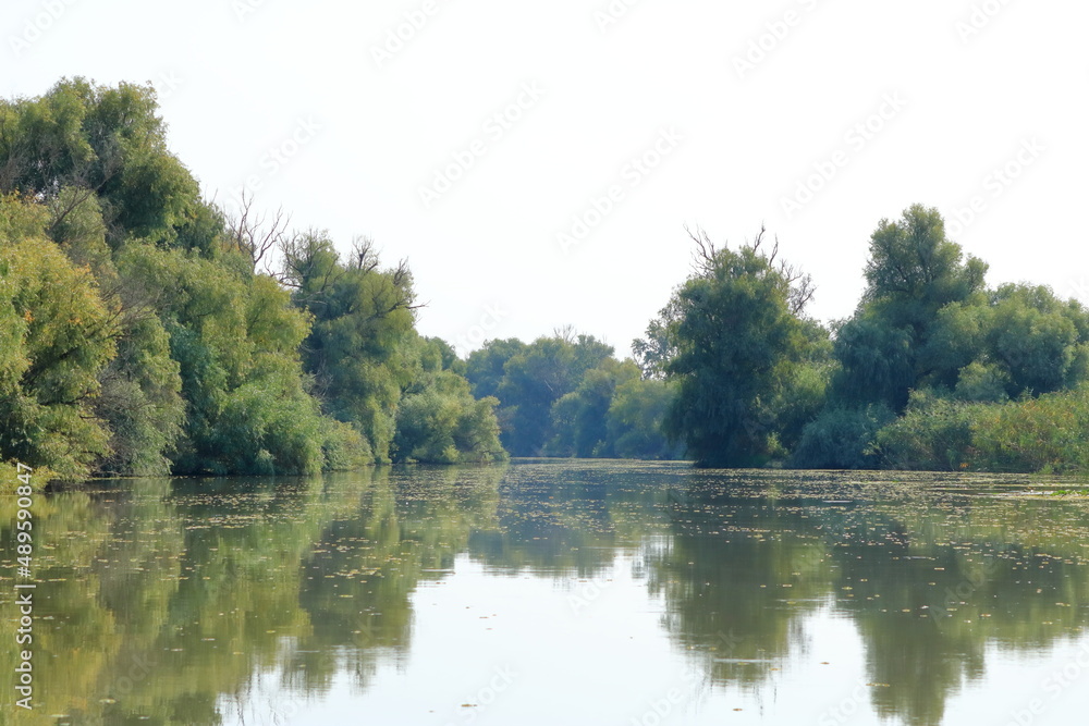 a small river channel in the Danube Delta a small river channel in the Danube Delta
