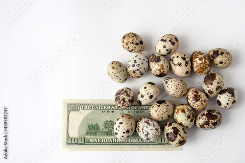 quail eggs and money, dollars on white background for sale to  client. Top view. Business of quail breeding, poultry farming. Healthy food, diet. Copy space