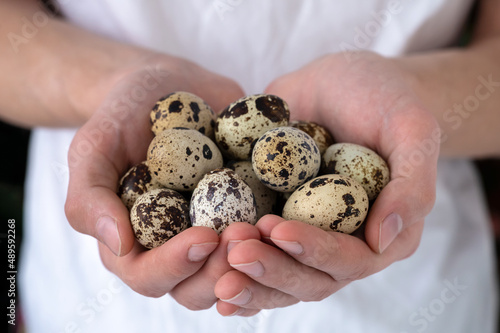 Close-up of fresh quail eggs in male hands. Home cooking. The idea of healthy breakfast, symbol of Easter.