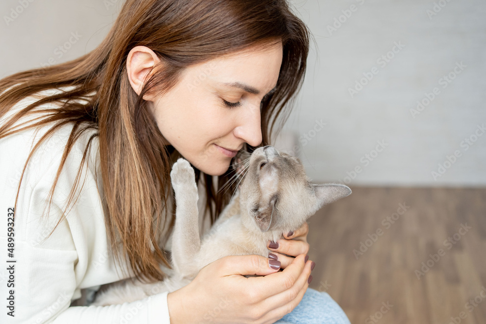 Close-up portrait of a beautiful young woman with a cute cat at home. Female hugging her cute domestic pet. Close-up portrait of a beautiful young woman with a cute cat at home. Female hugging her cute domestic pet.