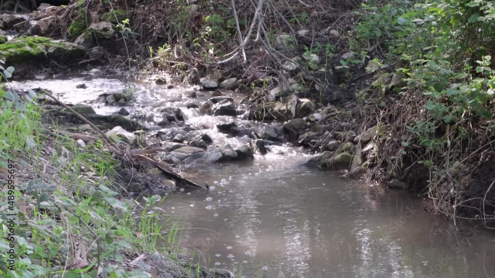 Stream in the forest, small waterfall Stream in the forest, small waterfall