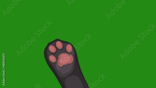 animation gray feline paw waves right to left on a green background. March greeting