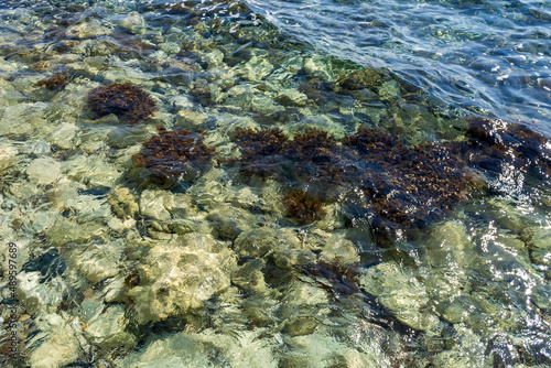 Transparent aquamarine sea water and rocks with seaweeds underwater