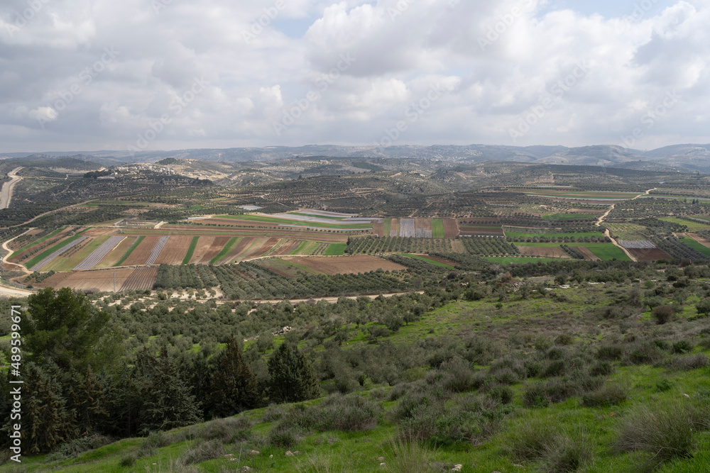 Judea and Samaria landscape, Israel-Palestine