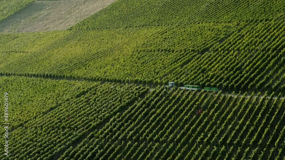 Aerial view flying over rolling hills of vineyards Aerial view flying over rolling hills of vineyards