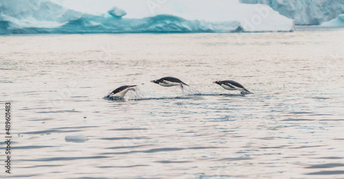 Antarctica, the White Continent 