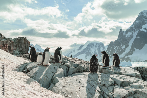 Antarctica, the White Continent 