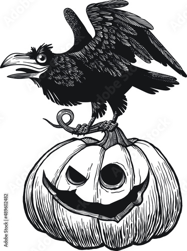 Black raven bird sitting on top of scary Halloween pumpkin. Engraving style.