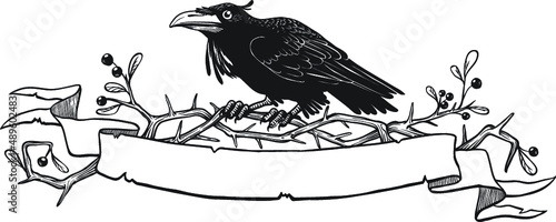 Raven sitting on thorn bush branch with a scroll for text. Good for header design. Black and white vector line art.