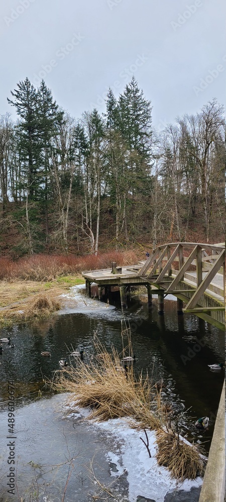 bridge over the river