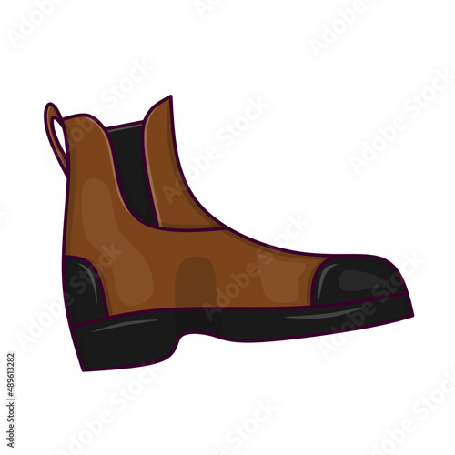 riding shoes with flat design style in brown, black and purple